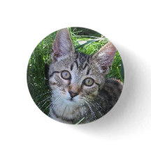 Botón de Gato Tabby Gris