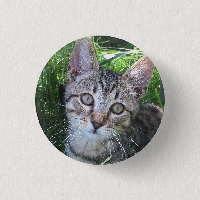 Botón de Gato Tabby Gris (Anverso)