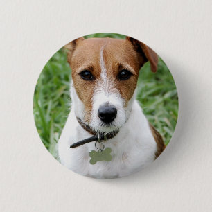 Botón de Jack Russell Terrier