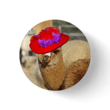 Botón de la alpaca
