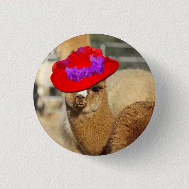 Botón de la alpaca (Anverso)