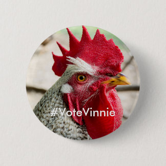 Botón de la campaña de Vinnie del candidato