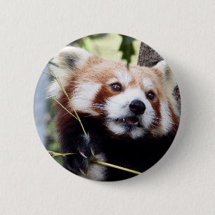 Botón de la cara de la panda roja