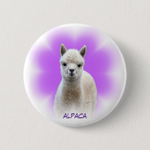 Botón de la esperanza de la alpaca