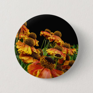 Botón de la explosión del verano