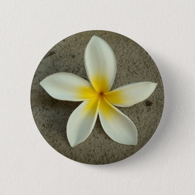 Botón de la flor de Hawaii del Plumeria (Anverso)