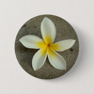 Botón de la flor de Hawaii del Plumeria