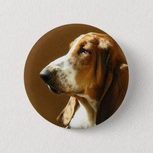 Botón de la foto de Basset Hound