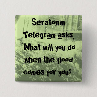 Botón de la inundación