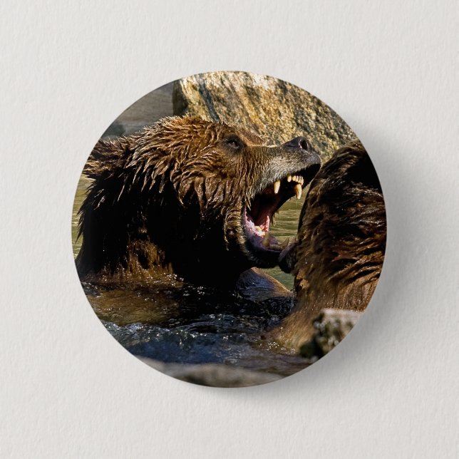 Botón de la lucha del oso (Anverso)