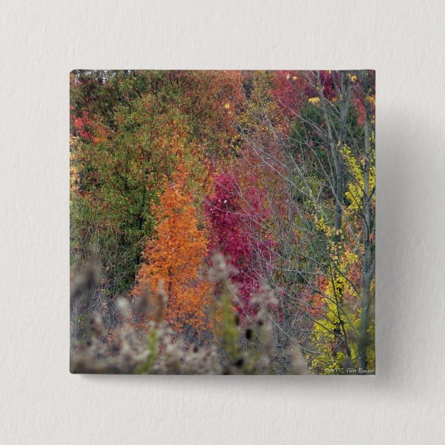 Botón de la paleta del otoño (Anverso)