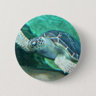 Botón de la tortuga de mar verde