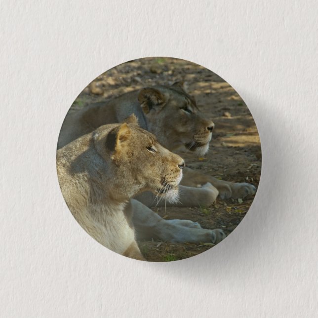 Botón de Leones (Anverso)