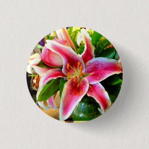 botón de lirio de estrella rosa