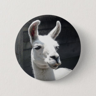Botón de Llama Sonriente