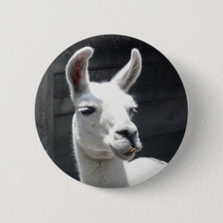 Botón de Llama Sonriente