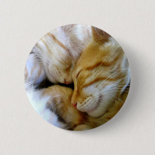 Botón de los gatitos del Snuggle
