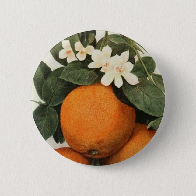 Botón de los NARANJAS (Anverso)