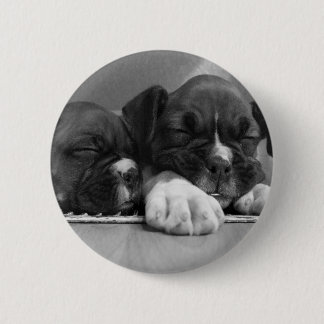 Botón de los perritos del boxeador el dormir