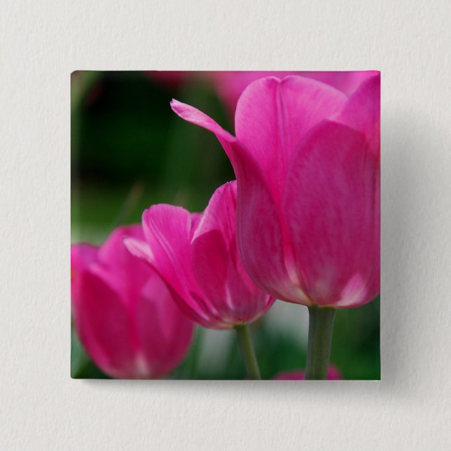 Botón de los tulipanes (Anverso)