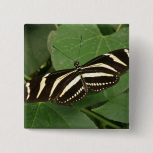 botón de mariposa de longitud de cebra
