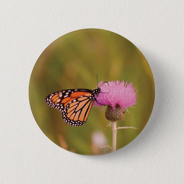 Botón de Mariposa Monarca (Anverso)