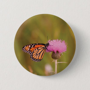 Botón de Mariposa Monarca
