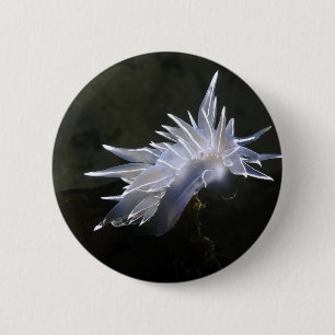 Botón de Nudibranch del alabastro