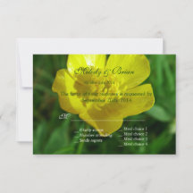 botón de oro flor silvestre amarilla RSVP