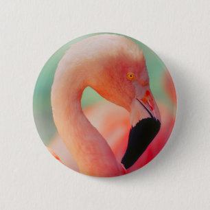 Botón de pájaro rosa Flamingo Exótico