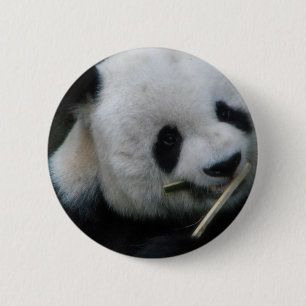 Botón de Panda Adorable – Prendedor de Panda Kawai
