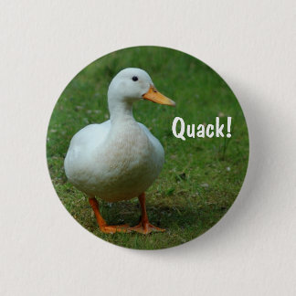 botón de pato blanco / insignia