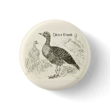 Botón de Pato Eider
