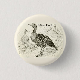 Botón de Pato Eider