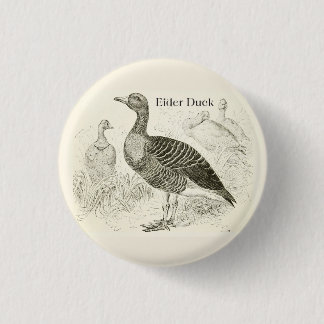 Botón de Pato Eider