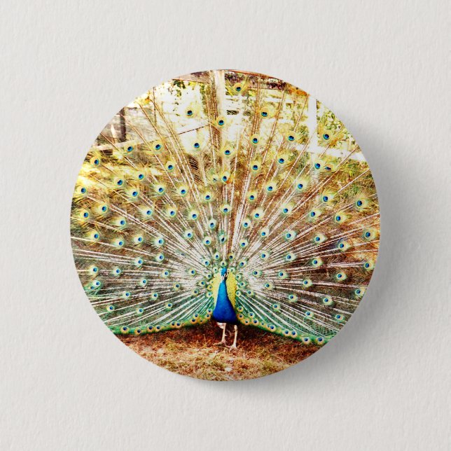 Botón de Peacock (Anverso)