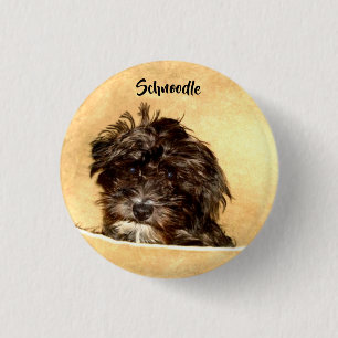 Botón de perro Schnoodle