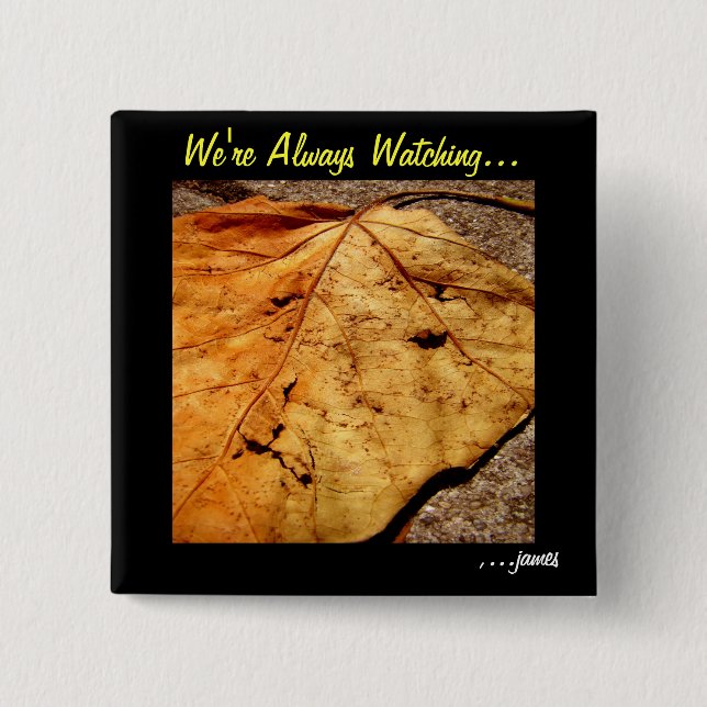 Botón de PhaceBook (Anverso)