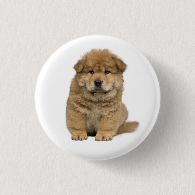 Botón de Pin de Cachorro de Chow Chow Amor (Anverso)