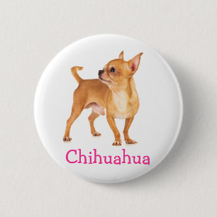 Botón de pin de Chihuahua lindo
