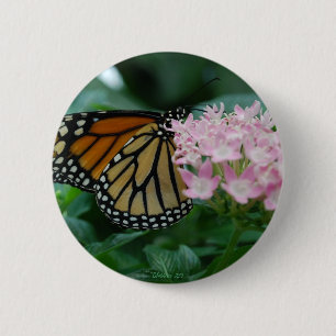 Botón de Pin de Mariposa Monarca