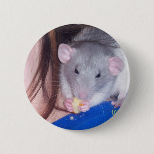 Botón de Pinback de la rata del mascota