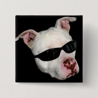 Botón de Pitbull