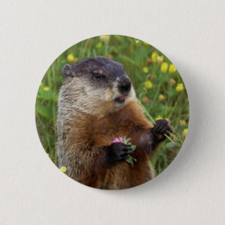 Botón de presión de Groundhog - Más cerca