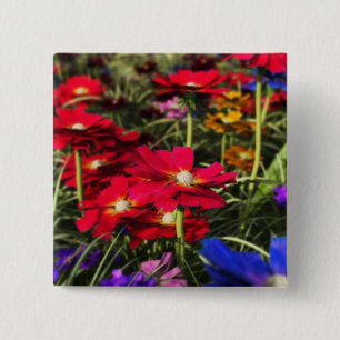 botón de primavera irlandés