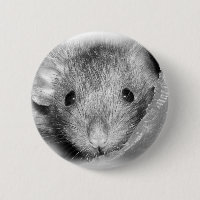 Botón de Rattie del Peekaboo