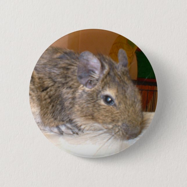 botón de relajación de Degu (Anverso)