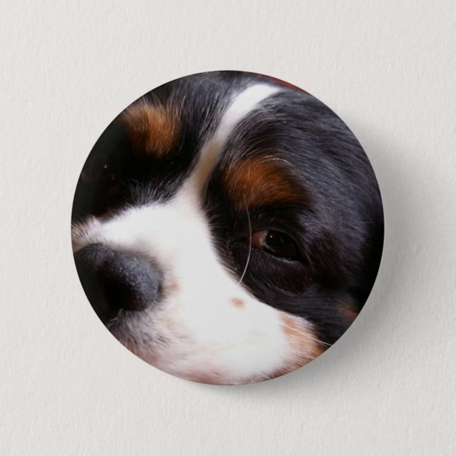 Botón de rey Charles Cavalier Spaniel Round (Anverso)