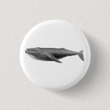 BOTÓN DE SELECCIÓN DE BALLENAS