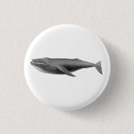 BOTÓN DE SELECCIÓN DE BALLENAS